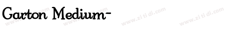 Garton Medium字体转换